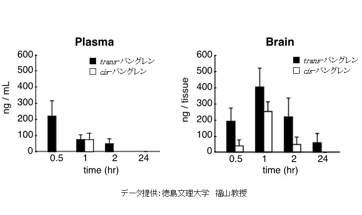 バングレンの血中・脳内濃度　②血液脳関門を通過し、脳内へ移動